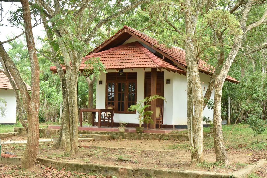 King'S Elephant Cabanas & Restaurant Tangalle Dış mekan fotoğraf